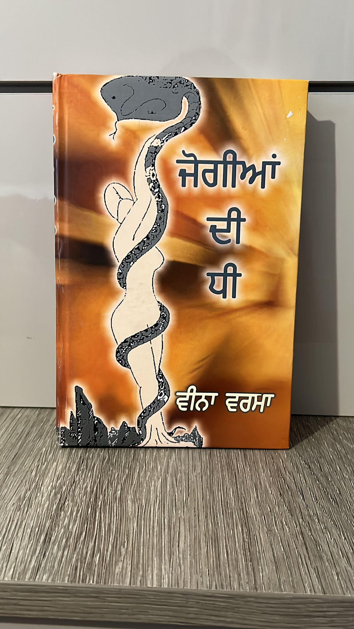 Jogiyan Di Dhee (ਜੋਗੀਆਂ ਦੀ ਧੀ)