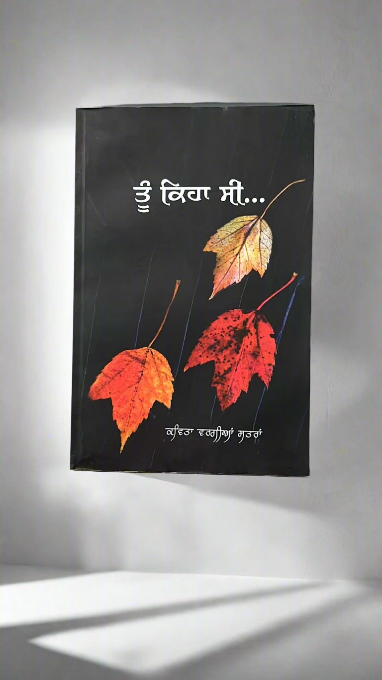 Tu keha si (ਤੂੰ ਕਿਹਾ ਸ)